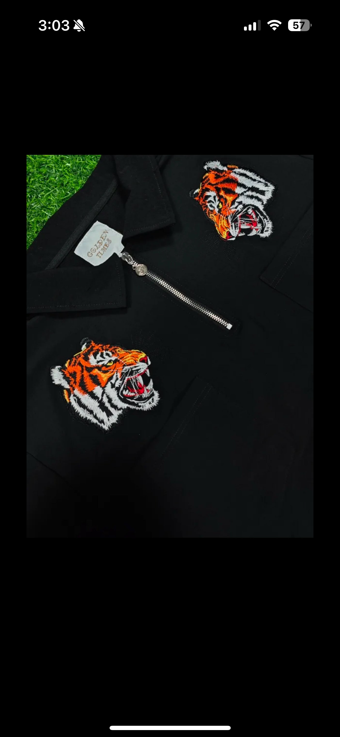 Tiger Blaze